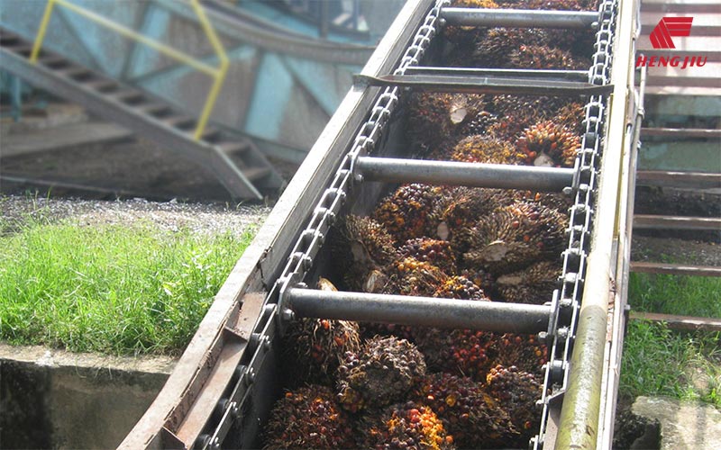 Palm Oil Industry